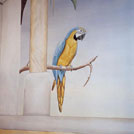 Illusionsmalerei Graupapagei